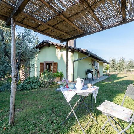 Belvilla By Oyo Il Leccio E Le Rose Arezzo Dış mekan fotoğraf